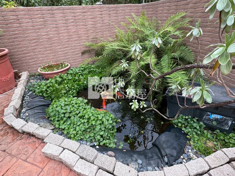 南開科大超大地坪3車庫別墅房屋室內格局與周邊環境