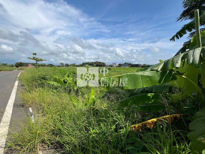 新屋下田心子段雙面路農地房屋室內格局與周邊環境