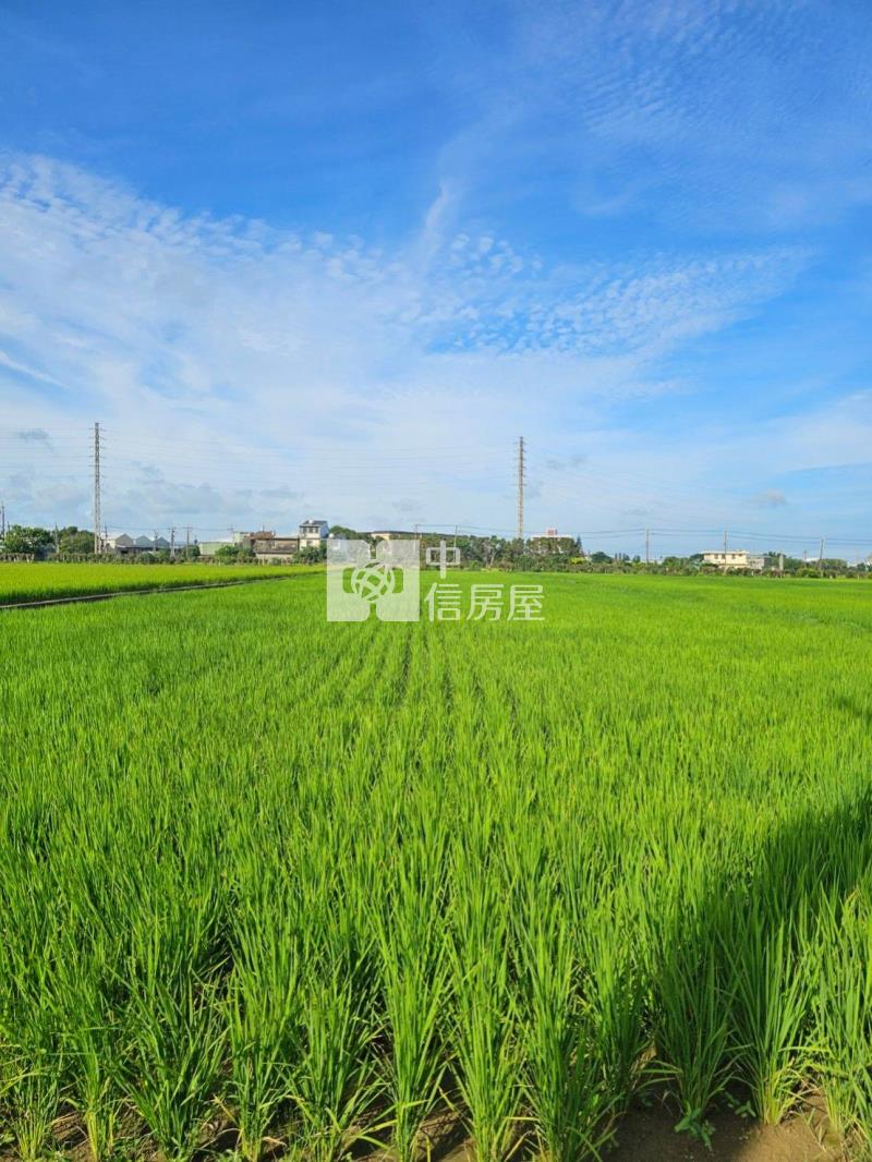 【奔馳】新屋後湖小段特農地房屋室內格局與周邊環境