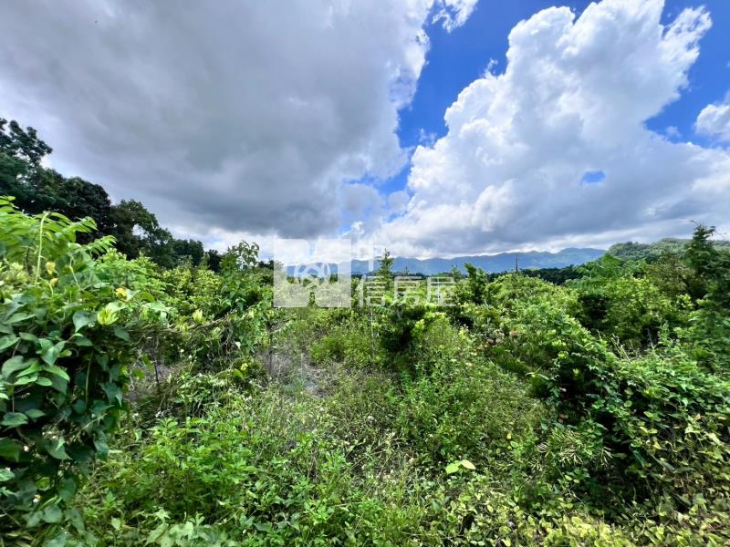 楠西一般農地房屋室內格局與周邊環境