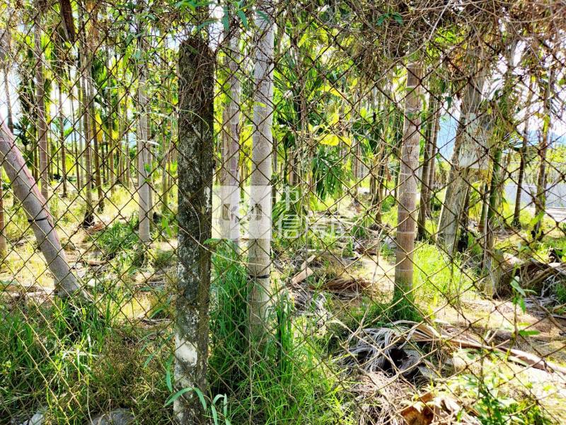 內埔市中心便宜農地*專約*房屋室內格局與周邊環境