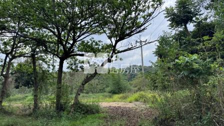 屏東土地-涼山造夢農地房屋室內格局與周邊環境