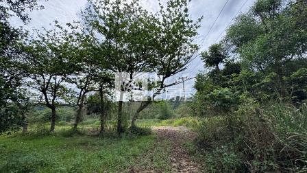 屏東土地-涼山造夢農地房屋室內格局與周邊環境