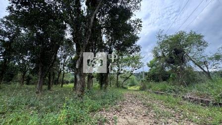屏東土地-涼山造夢農地房屋室內格局與周邊環境