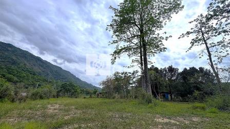 屏東土地-涼山造夢農地房屋室內格局與周邊環境