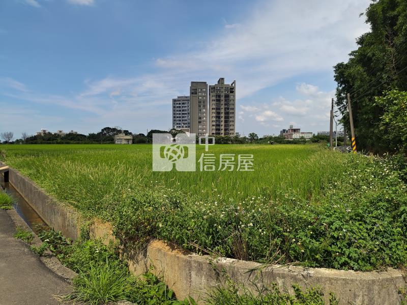 近青埔A19捷運站月眉雙面路農地房屋室內格局與周邊環境