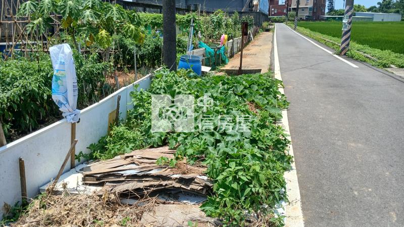 忠愛大面寬農地439房屋室內格局與周邊環境