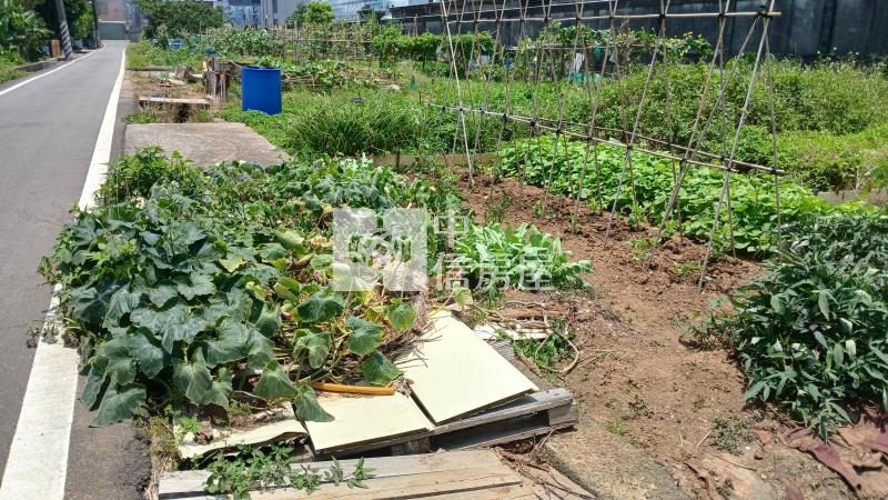 忠愛大面寬農地439房屋室內格局與周邊環境
