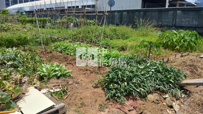 忠愛大面寬農地439房屋室內格局與周邊環境