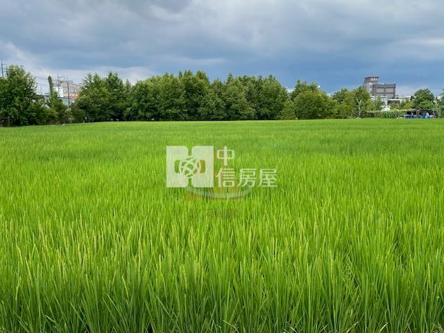 【玖禾】大溪烏塗農地房屋室內格局與周邊環境