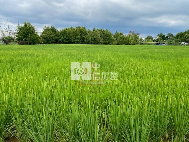 【玖禾】大溪烏塗農地房屋室內格局與周邊環境