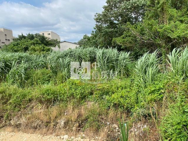 【玖禾】大溪烏塗農地房屋室內格局與周邊環境