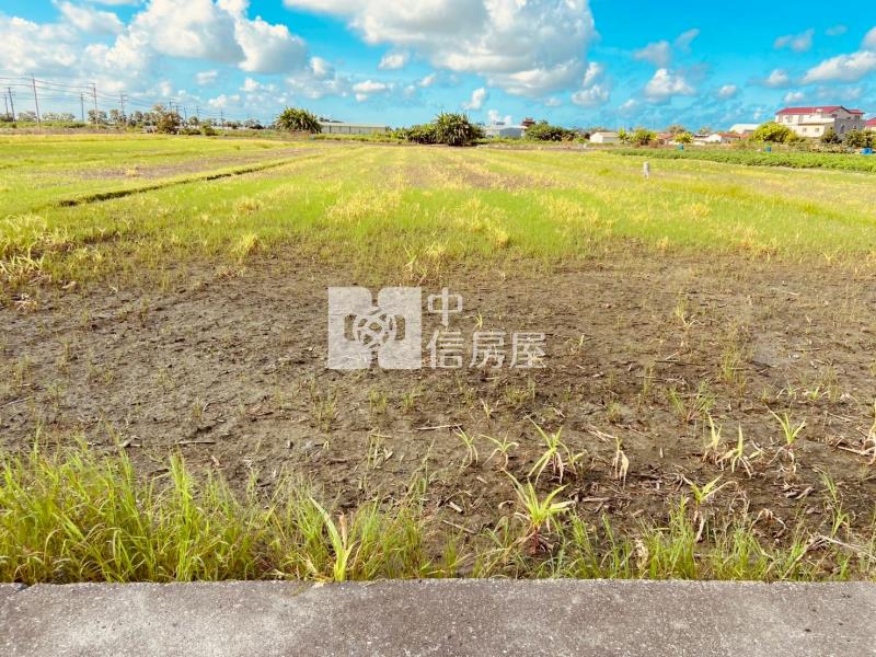 佳里通興國小方正農地房屋室內格局與周邊環境