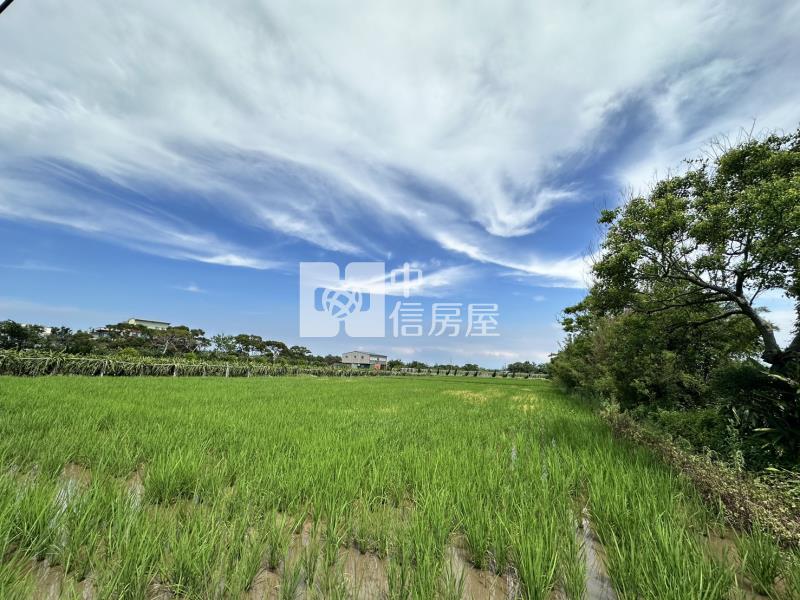 新屋社子美農地房屋室內格局與周邊環境