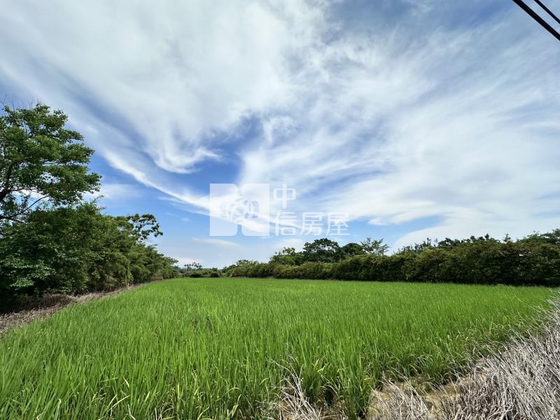 新屋社子美農地房屋室內格局與周邊環境
