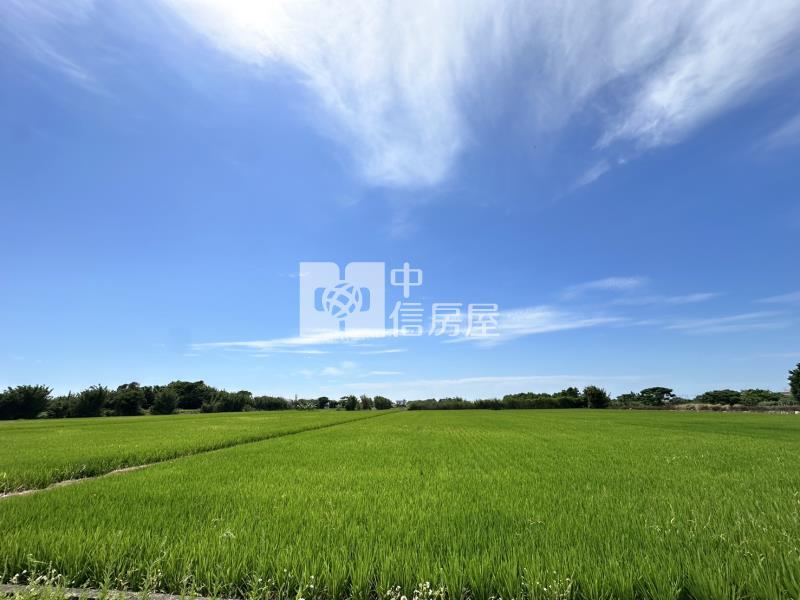 新屋社子美農地房屋室內格局與周邊環境