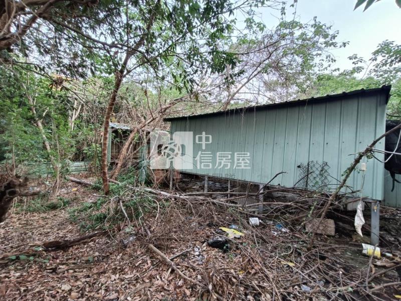 【豐禾】擴大大里都市計畫第三期甲建房屋室內格局與周邊環境