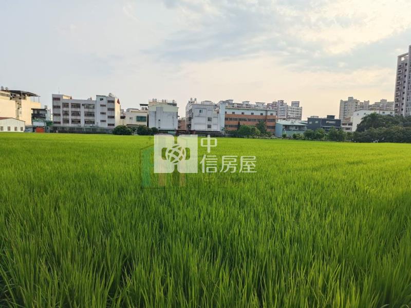 【豐禾】擴大大里都市計畫第三期甲建房屋室內格局與周邊環境