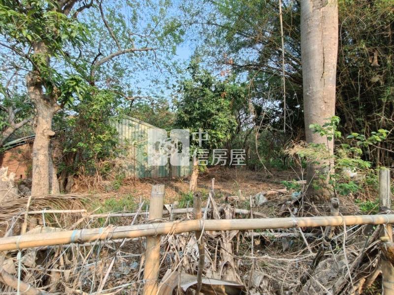 【豐禾】擴大大里都市計畫第三期甲建房屋室內格局與周邊環境