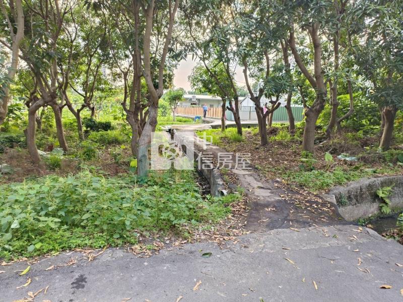 【豐禾】擴大大里都市計畫第三期甲建房屋室內格局與周邊環境