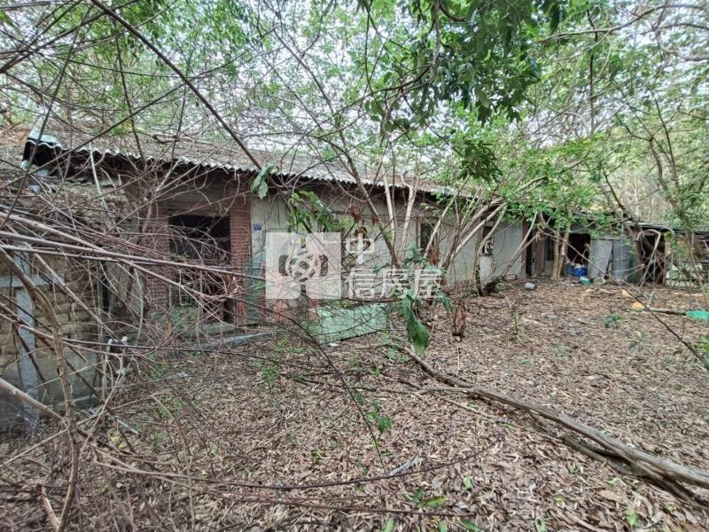 【豐禾】擴大大里都市計畫第三期甲建房屋室內格局與周邊環境