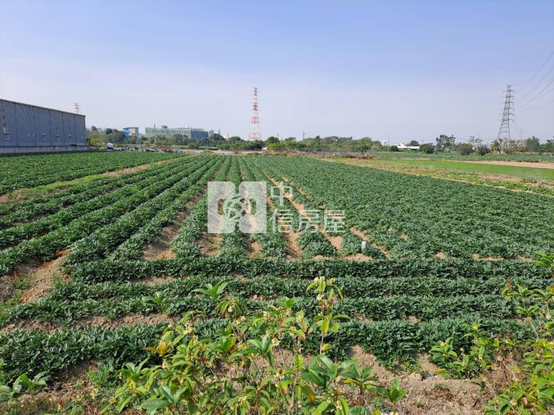 新化美美農地房屋室內格局與周邊環境