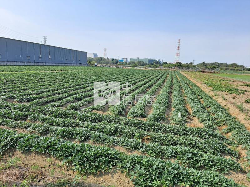 新化美美農地房屋室內格局與周邊環境