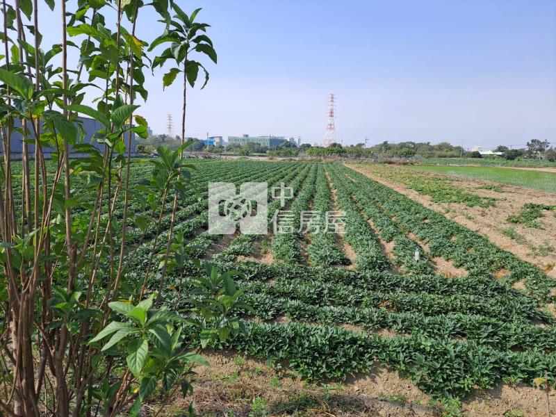 新化美美農地房屋室內格局與周邊環境