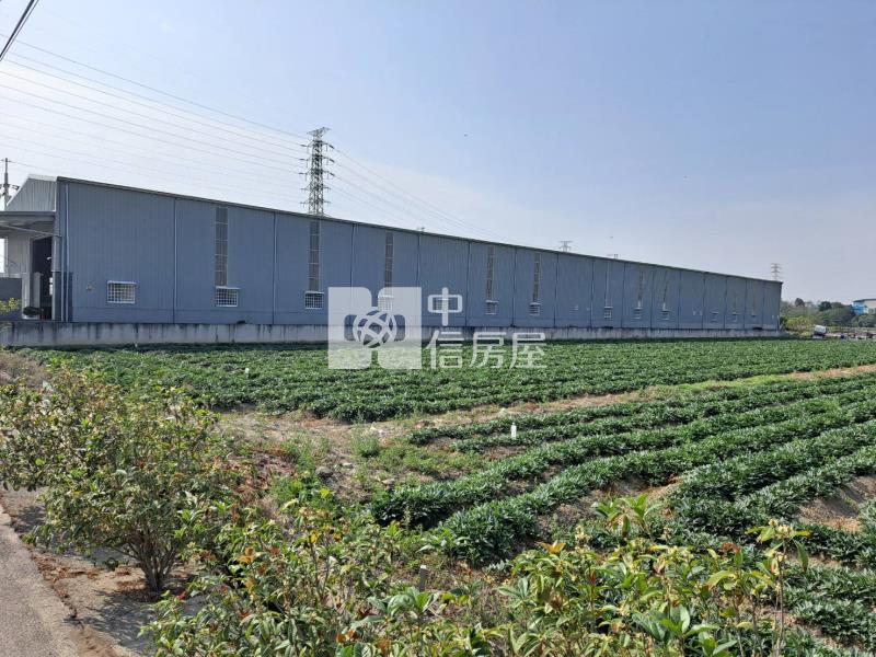 新化美美農地房屋室內格局與周邊環境