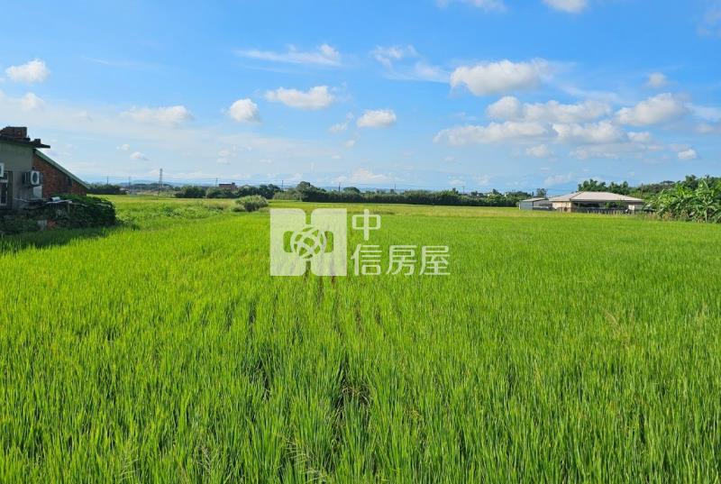 【安家】新屋大坡方正美農地房屋室內格局與周邊環境