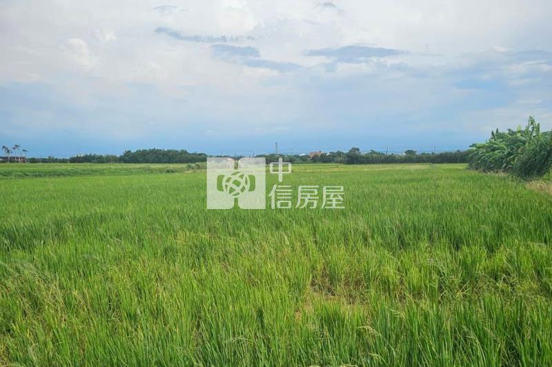 【安家】新屋大坡方正美農地房屋室內格局與周邊環境