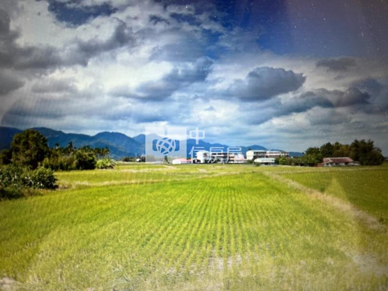 (專)投資三星福和段房屋室內格局與周邊環境