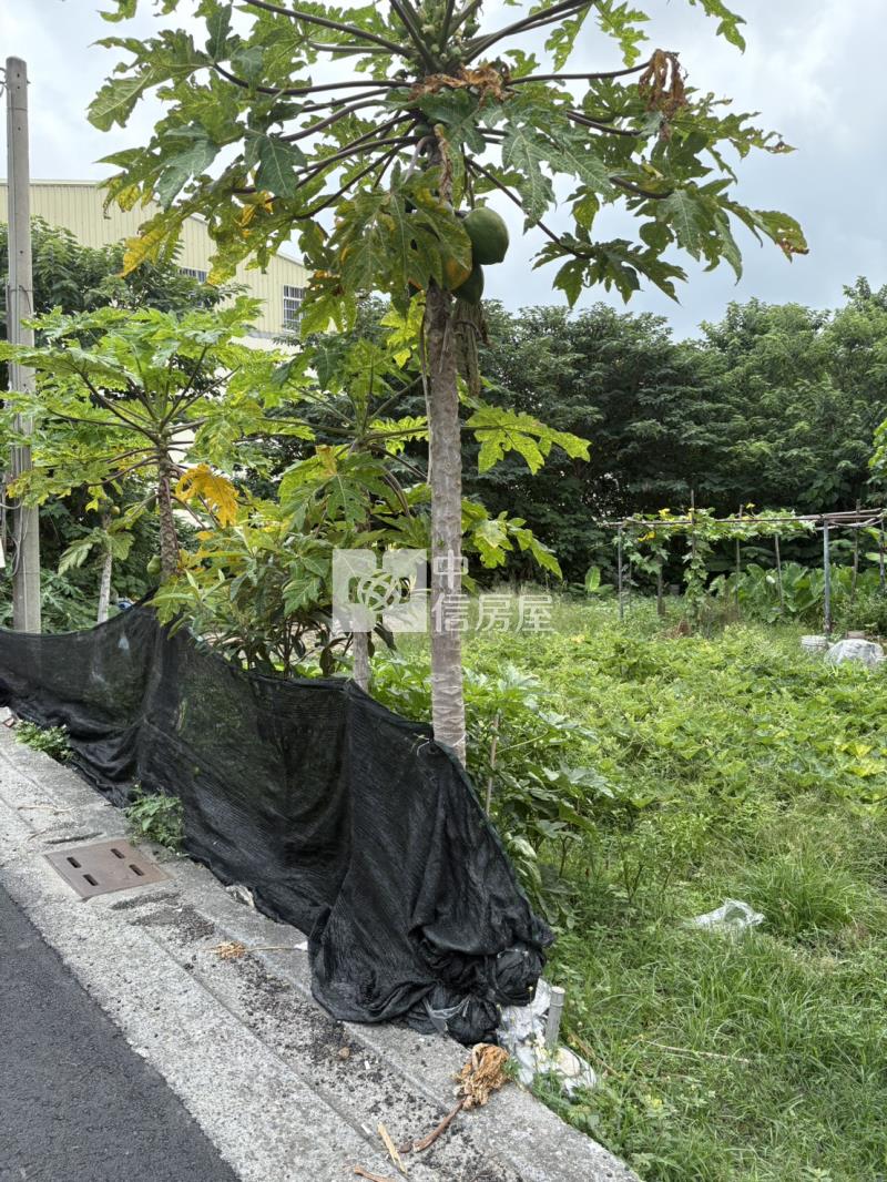 彰化二林住宅建地房屋室內格局與周邊環境