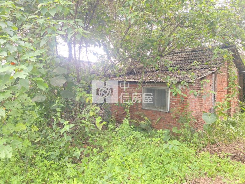 水上優質建地房屋室內格局與周邊環境