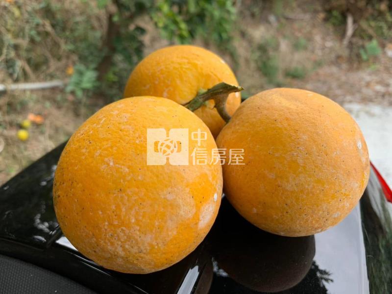 南勢莊1.2甲農地房屋室內格局與周邊環境