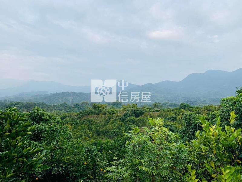 南勢莊1.2甲農地房屋室內格局與周邊環境