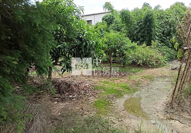 白河河保段近交流道旁百坪乙建房屋室內格局與周邊環境