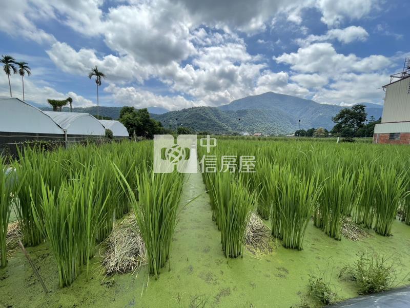 水源段美田II房屋室內格局與周邊環境