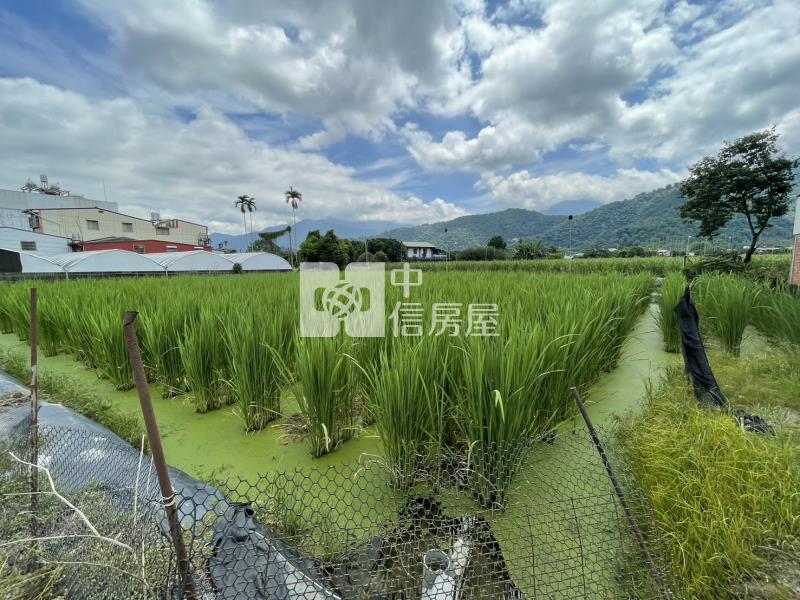 水源段美田II房屋室內格局與周邊環境