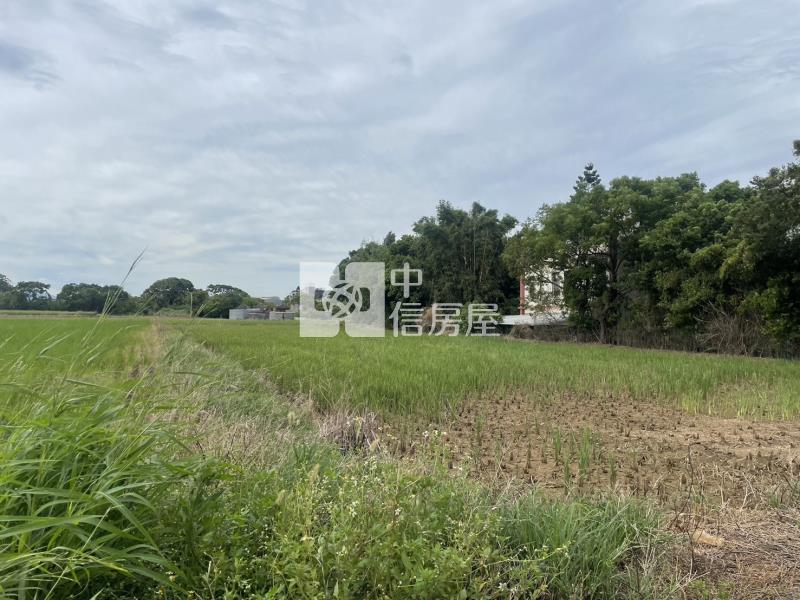 【新世紀】正圓光路農地房屋室內格局與周邊環境
