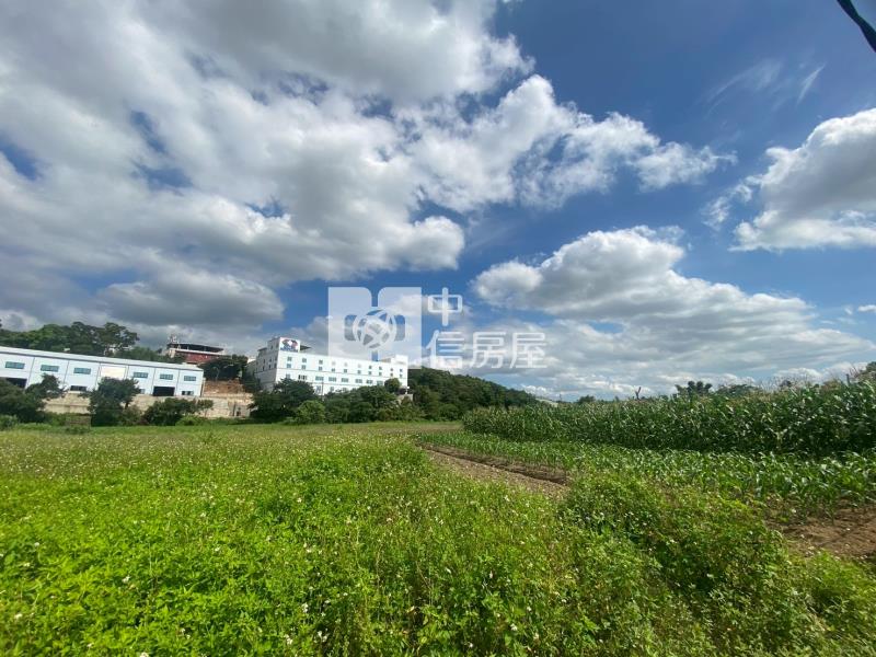草厝江園區旁農地房屋室內格局與周邊環境