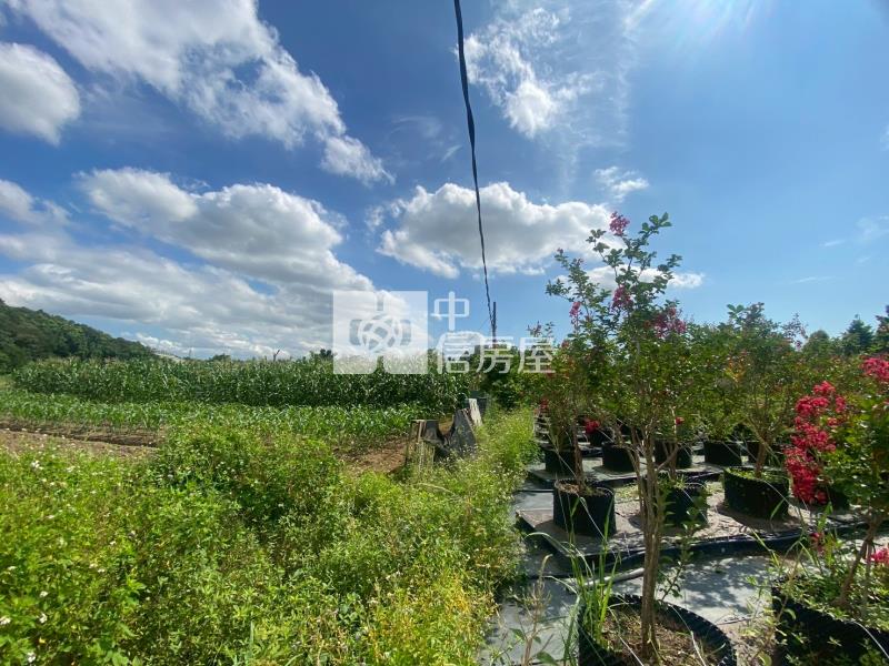 草厝江園區旁農地房屋室內格局與周邊環境