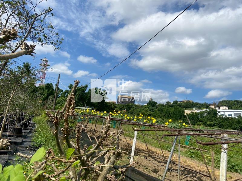 草厝江園區旁農地房屋室內格局與周邊環境