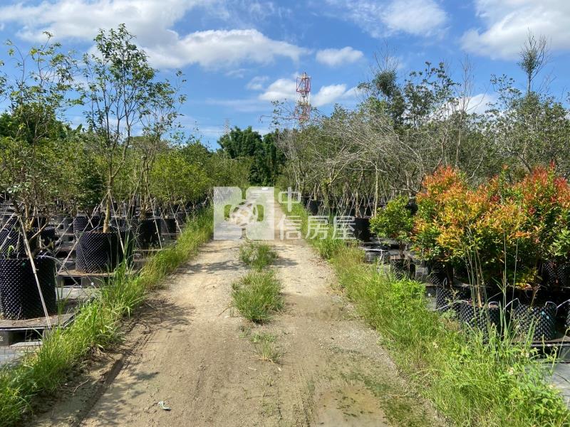 草厝江園區旁農地房屋室內格局與周邊環境