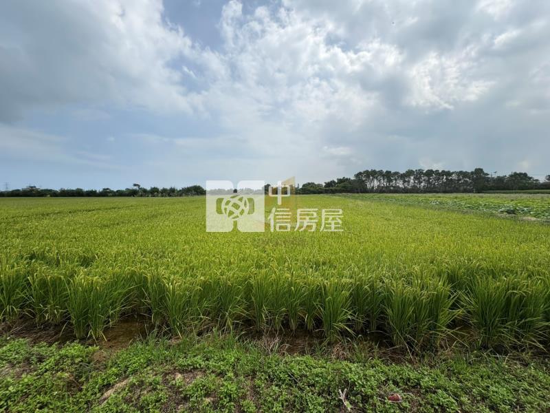 【玖禾】新屋千坪10米路特農房屋室內格局與周邊環境
