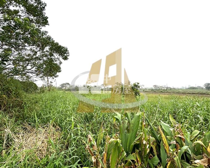 【玖禾】新坡雙面臨路農地房屋室內格局與周邊環境