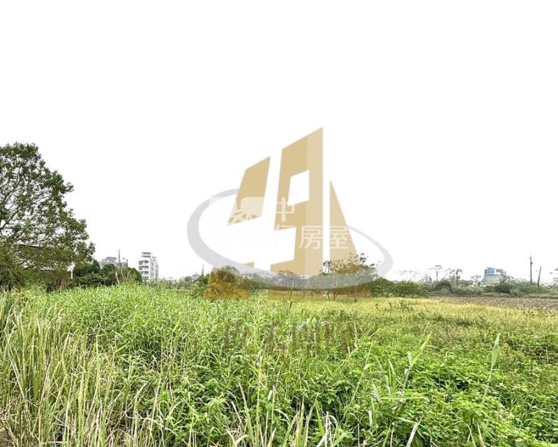 【玖禾】新坡雙面臨路農地房屋室內格局與周邊環境