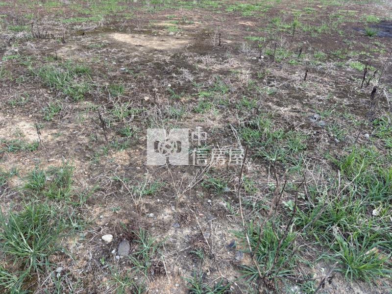 八德平鎮交界面寬農地房屋室內格局與周邊環境