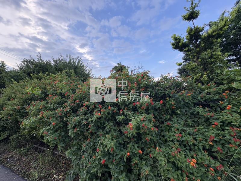 八德平鎮交界面寬農地房屋室內格局與周邊環境