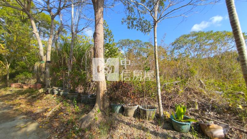 新化知母義段超值農地房屋室內格局與周邊環境